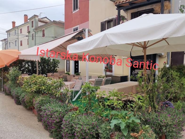 Aisha Apartment Brtonigla Exterior photo